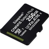 Kingston Canvas Select Plus microSD Card 256 Go, Carte mémoire Noir, SDCS2/256GBSP, Class 10 UHS-I A1