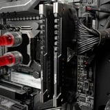 Patriot 16 Go DDR4-3600 (2x 8 Go) mémoire vive Gris, PVS416G360C7K, XMP 2.0