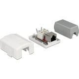 DeLOCK 86196 prise de courant RJ-45 Blanc, Boîte de jonction Blanc, RJ-45, Blanc, TIA-568A/B, 39 mm, 54 mm, 29,5 mm