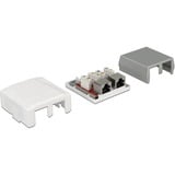 DeLOCK 86197 prise de courant 2 x RJ-45 Blanc, Boîte de jonction Blanc, 2 x RJ-45, Blanc, TIA-568A/B, 59 mm, 61 mm, 29,5 mm