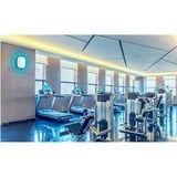 TP-Link Omada EAP115 300 Mbit/s Blanc Connexion Ethernet, supportant l'alimentation via ce port (PoE), Point d'accès Blanc, 2,4 GHz, 300 Mbit/s, 64-bit WEP, 128-bit WEP, 152-bit WEP, HTTPS, SNMP, SSH, WPA, WPA-PSK, WPA2-Enterprise, WPA2-PSK, 10,100,1000 Mbit/s