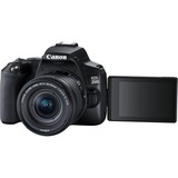 Canon EOS 250D + EF-S 18-55mm f/3.5-5.6 III Kit d'appareil-photo SLR 24,1 MP CMOS 6000 x 4000 pixels Noir, Appareil photo numérique Noir, 24,1 MP, 6000 x 4000 pixels, CMOS, 4K Ultra HD, Écran tactile, Noir