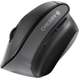 CHERRY MW 4500, Souris Noir, 600 - 1200 dpi