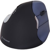 Evoluent VM4RW souris RF sans fil Laser Noir/Bleu, Laser, RF sans fil