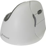 Evoluent VerticalMouse 4 Wireless, Souris Gris clair/gris, Droitier, Optique, Bluetooth, 2600 DPI, Blanc