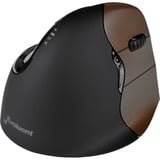 Evoluent VerticalMouse 4 Wireless, Souris Noir/Marron, Droitier, Optique, RF sans fil, 2600 DPI, Noir, Marron