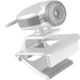 Logitech BRIO 305, Webcam Graphite