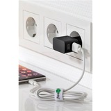 goobay Dual USB Charger 2,4 A, Chargeur Noir