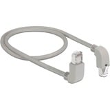 DeLOCK Câble de raccordement RJ45 Cat.6a S/FTP Gris