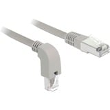 DeLOCK Câble de raccordement RJ45 Cat.6a S/FTP Gris