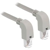 DeLOCK Câble de raccordement RJ45 Cat.6a S/FTP Gris