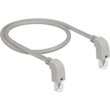 DeLOCK Câble de raccordement RJ45 Cat.6a S/FTP Gris