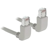 DeLOCK Câble de raccordement RJ45 Cat.6a S/FTP Gris