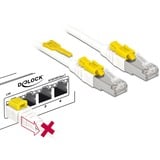 DeLOCK Câble de raccordement RJ-45 Secure Cat.6a Blanc, 85331, 1 mètre