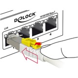 DeLOCK Câble de raccordement RJ-45 Secure Cat.6a Blanc, 85331, 1 mètre