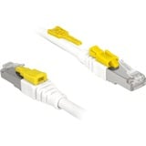 DeLOCK Câble de raccordement RJ-45 Secure Cat.6a Blanc, 85332, 2 mètres