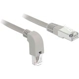 DeLOCK Câble de raccordement S/FTP, RJ-45 Cat.6a Gris, 1 mètre