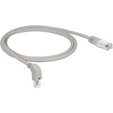 DeLOCK Câble de raccordement S/FTP, RJ-45 Cat.6a Gris, 1 mètre