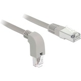 DeLOCK Câble de raccordement S/FTP, RJ-45 Cat.6a Gris, 2 mètres