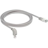 DeLOCK Câble de raccordement S/FTP, RJ-45 Cat.6a Gris, 2 mètres