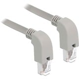 DeLOCK Câble de raccordement S/FTP, RJ-45 Cat.6a Gris, 1 mètre