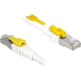 DeLOCK Câble de raccordement S/STP, RJ-45 sécurisé avec Cat.6a Blanc, 85330, 0,5 mètres