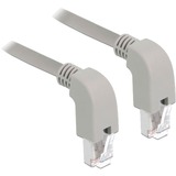 DeLOCK Câble réseau RJ-45 S/FTP Cat.6a Gris, 1 mètre