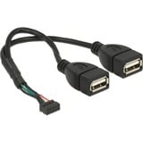 DeLOCK Connecteur USB 2.0 femelle 2,00 mm 10 broches > 2 x USB-A 2.0 femelle, Câble en Y Noir, 0,15 mètre
