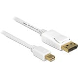 DeLOCK Mini DisplayPort > DisplayPort, Adaptateur Blanc, 2 mètres