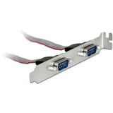 DeLOCK Slot Bracket > 2 x Serial Pin layout: 1:1, Câble Argent/gris, 0,4 mètre
