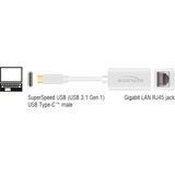 DeLOCK SuperSpeed USB-C (USB 3.1 Gen 1) male > Gigabit LAN 10/100/1000 Mbps compact, Adaptateur Blanc, 0,135 mètres