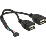 DeLOCK USB 2.0 pin header female 2.00 mm 10 pin > 2 x USB-A 2.0 female, Câble en Y Noir, 0,15 mètres