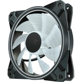 DeepCool MF120 GT, Ventilateur de boîtier Noir/transparent, Connecteur de ventilateur WPM à 3 branches et 4 broches