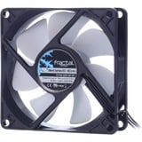 Fractal Design Silent Series R3 80 mm Boitier PC Ventilateur 8 cm Noir, Blanc, Ventilateur de boîtier Ventilateur, 8 cm, 1600 tr/min, 18,1 dB, 20,2 cfm, Noir, Blanc