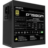 GIGABYTE GP-P750GM alimentation modulaire 750 watt Noir, 4x PCIe, Gestion des câbles, 4x PCIe
