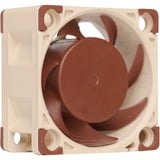 Noctua NF-A4x20 5V ventilateur de boîtier 40 x 40 x 20 mm