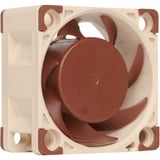 Noctua NF-A4x20 FLX, Ventilateur de boîtier Connecteur à 3 broches