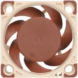 Noctua NF-A4x20 FLX, Ventilateur de boîtier Connecteur à 3 broches