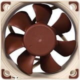 Noctua NF-A6x25 PWM ventilateur de boîtier 60 x 60 x 25 mm