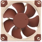 Noctua NF-A8 5V PWM ventilateur de boîtier 80 x 80 x 25 mm