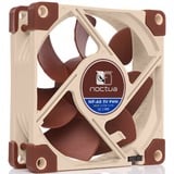 Noctua NF-A8 5V PWM ventilateur de boîtier 80 x 80 x 25 mm