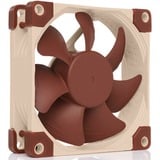 Noctua NF-A8 5V, Ventilateur de boîtier 
