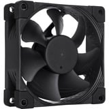 Noctua NF-A8 PWM chromax.black ventilateur de boîtier Noir, 80 x 80 x 25 mm
