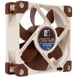 Noctua NF-A8 ULN, Ventilateur de boîtier Connexion à 3 broches