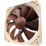 Noctua NF-P12 PWM ventilateur de boîtier Marron, 120 x 120 x 25 mm
