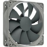 Noctua NF-P12, Ventilateur de boîtier Gris