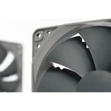 Noctua NF-P12 redux-900, Ventilateur de boîtier Connecteur de ventilateur à 3 broches