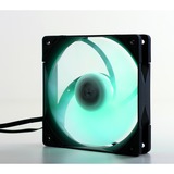 Scythe Kaze Flex PWM RGB 1200, Ventilateur de boîtier Ventilateur, 12 cm, 300 tr/min, 1200 tr/min, 24,9 dB, 51,17 cfm