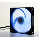 Scythe Kaze Flex PWM RGB 1800, Ventilateur de boîtier Noir/transparent