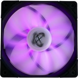 Scythe Kaze Flex RGB 800, Ventilateur de boîtier Ventilateur, 12 cm, 800 tr/min, 14,5 dB, 43,03 cfm, Noir, Blanc